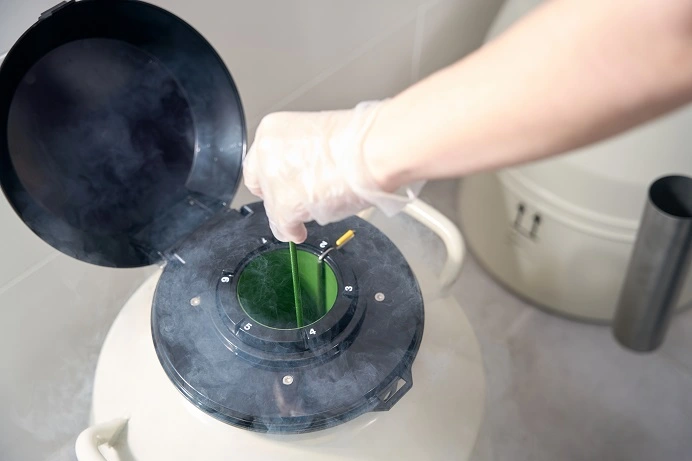 Cleaning Brine Tank on Water Softener